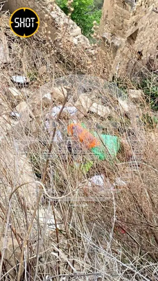 photo1685015321 (1).jpeg