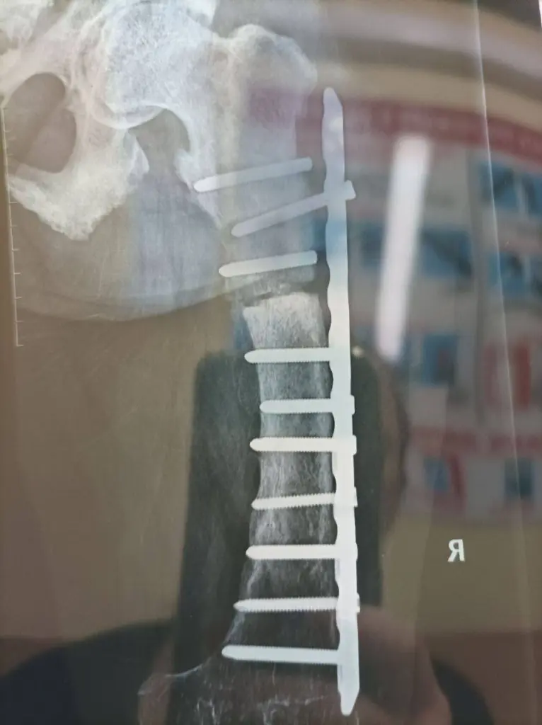 photo_2023-07-02_12-05-02 (2).jpg