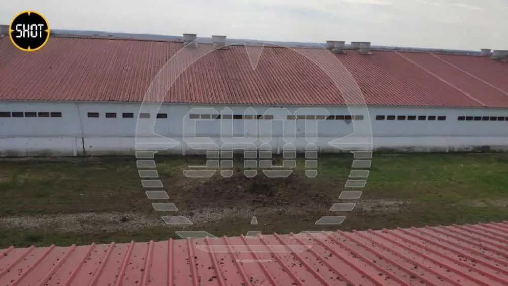 photo1681286153.jpeg photo1681286153.jpeg