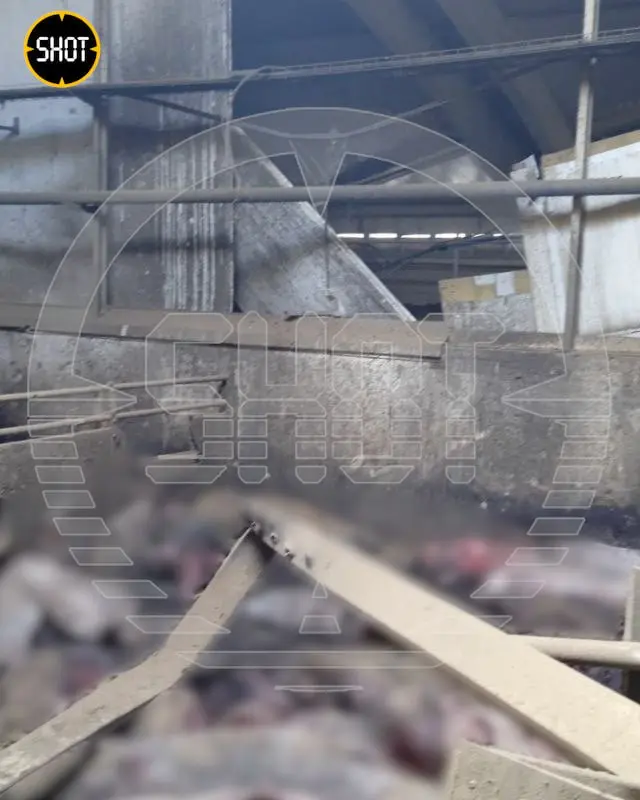 photo1681286152 (2).jpeg