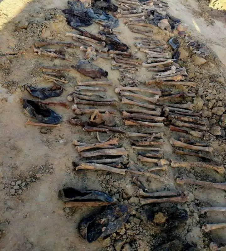 photo1677508343.jpeg photo1677508343.jpeg