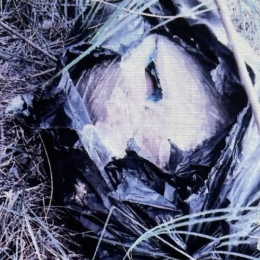 photo1685107544 (1).jpeg