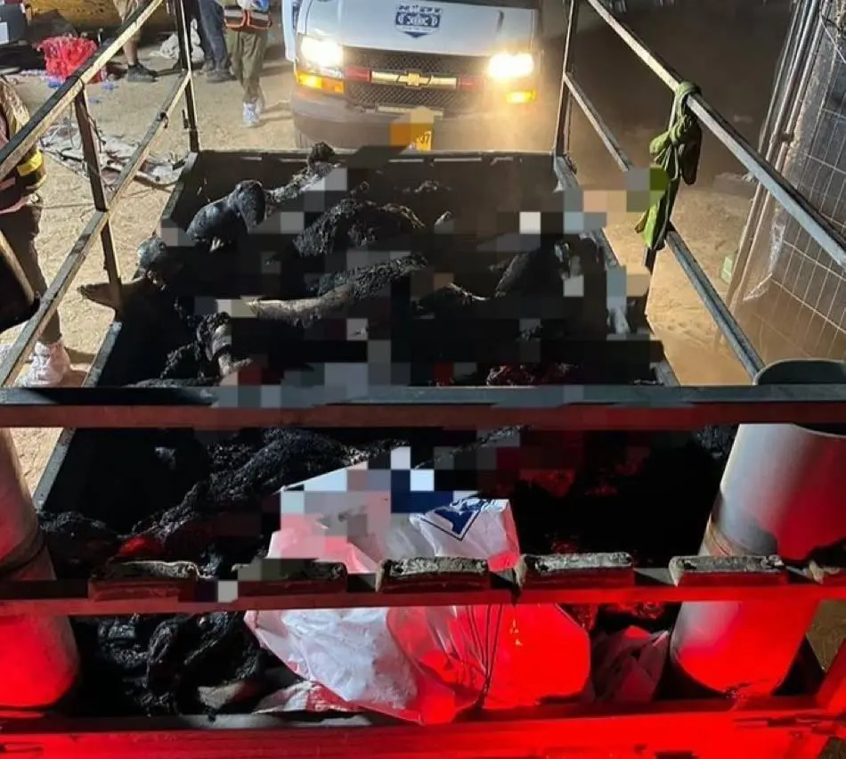 photo_5274084101797827324_y.jpg photo_5274084101797827324_y.jpg