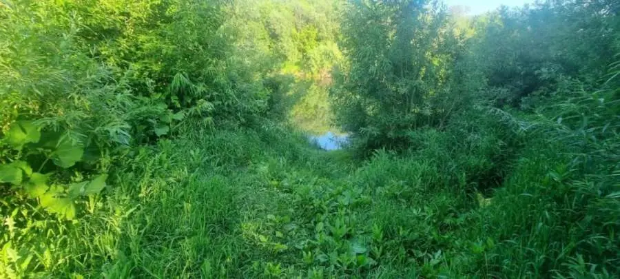 photo1689575889.jpeg photo1689575889.jpeg