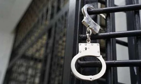 ОПГ из 16 человек, похищавших выплаты бойцам СВО, задержали в Тюмени