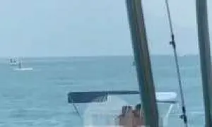 В Сочи туристы устроили секс-представление, совокупившись на катамаране перед отдыхающими (ВИДЕО)