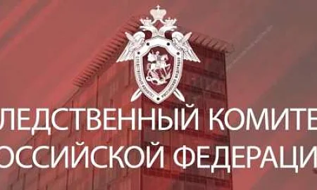 СК и ФСБ пресекли деятельность организаторов популярных финансовых Telegram-каналов