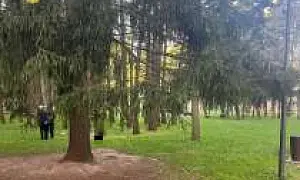 В одном из парков Москвы найден труп мужчины с отрезанной головой и многочисленными ранениями (ВИДЕО)