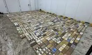 Партию кокаина на 13 миллиардов рублей обнаружили в порту Санкт-Петербурга