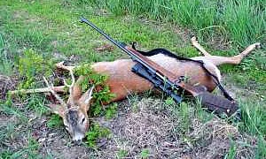 Зоозащитники бьют тревогу из-за нового проекта Минприроды, легализующего убийство краснокнижных животных