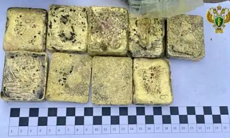 Жителя Забайкалья осудили за контрабанду драгметаллов на 425 млн рублей