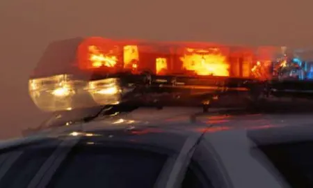 Задержанного в Сингапуре кибермошенника из РФ оставили под стражей 