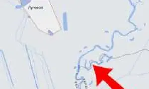 Группа из 50 украинских диверсантов снова попыталась зайти в Брянскую область