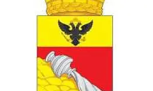 Мэрия Воронежа призвала жителей города искать беспилотники и сообщать о них силовикам