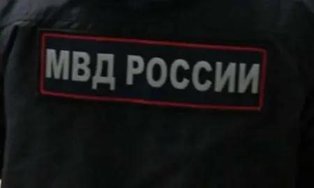 В Подмосковье выдворят более 4,3 тыс. мигрантов