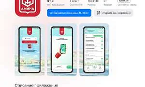Иностранцы, прибывшие в Москву и область в безвизовом порядке, с 1 сентября будут устанавливать приложение «Амина»