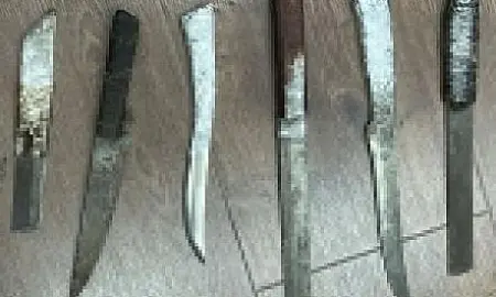 ФСБ: заключённые-мигранты готовили теракт в колонии Ростовской области