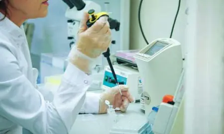 ФСБ задержала заведующего лабораторией научного центра «Вектор» в Новосибирске