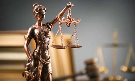 Директора школы из Приморья, где 8-летнюю девочку пытали туалетным ёршиком, будут судить