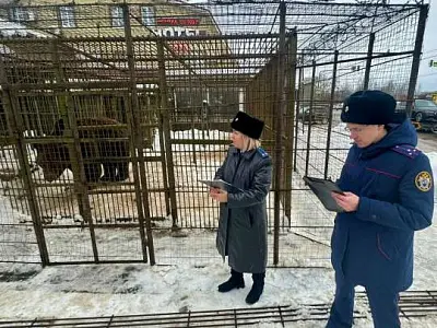 в смоленской области медведь разорвал рабочего кафе, который случайно упал в клетку - Сайт Газеты «Совершенно Секретно»