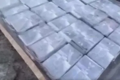 цифра дня: в питере у наркоторговцев нашли 225 кг кокаина из латинской америки - Сайт Газеты «Совершенно Секретно»