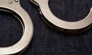 Гражданина ОАЭ осудили в РФ за попытку контрабанды краснокнижных кречетов