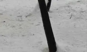 В Подмосковье упавший с крыши снег убил 13-летнего сына экс-совладельца Алтайэнергобанка