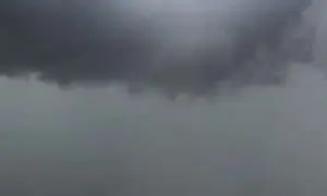 По Крыму прошёл смерч, который уничтожил ферму, где выращиваются устрицы (ВИДЕО)   