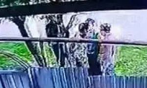 На Ставрополье сосед зарезал 23-летнего участника СВО за замечание об алабае (ВИДЕО)