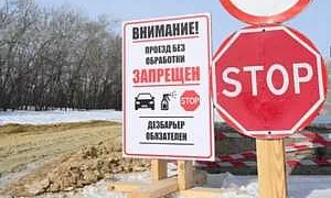 Последнее хозяйство? Что говорят власти о массовом убое скота под Новосибирском