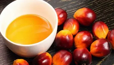 в госдуму внесут законопроект об отмене налоговых льгот для пальмового масла - Сайт Газеты «Совершенно Секретно»