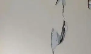 Угроза цунами и афтершоки. Сильное землетрясение произошло на Камчатке