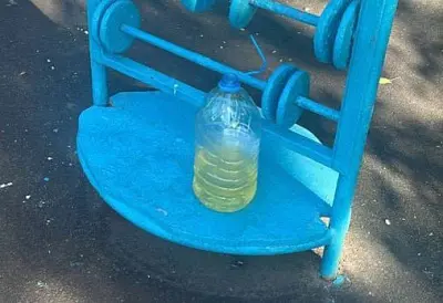 в москве на детской площадке подросток облил своего друга бензином и поджег его (видео) - Сайт Газеты «Совершенно Секретно»