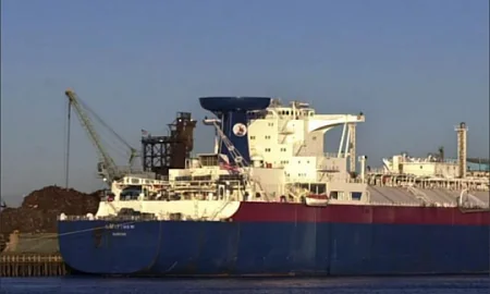 СПЧ обратился к послу Египта по ситуации с российскими моряками на "Дигнити"