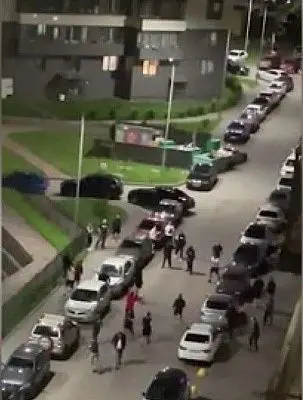 в мурино драка, в которой приняли участие не менее 20 человек, переросла в стрельбу (видео)  - Сайт Газеты «Совершенно Секретно»