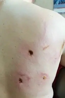 в сочи на арене цирка супруга спасла мужа-дрессировщика от разъяренного льва (видео) - Сайт Газеты «Совершенно Секретно»