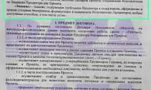 Собчак оказалась владелицей канала, через который могли вымогать деньги у главы Ростеха