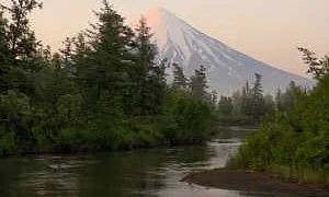 Комитет по экологии ГД одобрил состоящий «из замечаний» законопроект об изъятии природоохранных земель для строительства