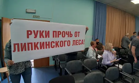 ЛИПОВЫЙ ПЛАН