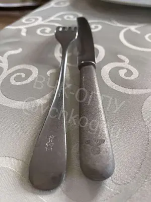 жена экс-сотрудника генпрокуратуры назвала своего мужа поклонником нацистской германии - Сайт Газеты «Совершенно Секретно»