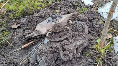 мид латвии выразил протест россии из-за украинского дрона - Сайт Газеты «Совершенно Секретно»