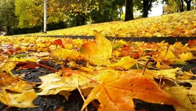 жителей россии ждет короткая рабочая неделя - Сайт Газеты «Совершенно Секретно»