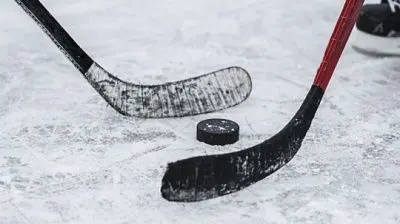 нхл объявила о паузе в сезоне из-за коронавируса - Сайт Газеты «Совершенно Секретно»