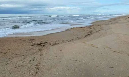 После ЧП с танкерами в 2024 г. в Анапе приступили к восстановлению пляжей