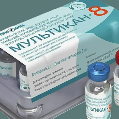 вакцина «мультикан», от которой погибли сотни собак, продавалась по фейковому паспорту качества - Сайт Газеты «Совершенно Секретно»