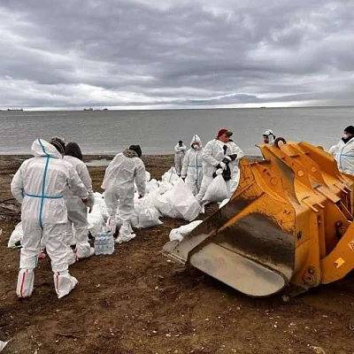 власти туапсе запретили женщинам убирать мазут на пляжах - Сайт Газеты «Совершенно Секретно»