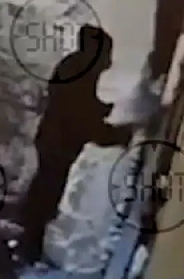 аспирант питерского университета разбил окна в военкомате и написал антивоенные лозунги (видео) - Сайт Газеты «Совершенно Секретно»