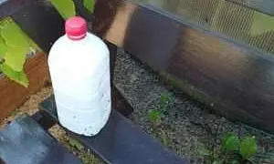 Массовое смертельное отравление суррогатным алкоголем произошло в Ленобласти 