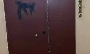 В Питере задержаны подростки, запенившие двери в квартирах родственников военкоров