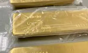 Во Внуково задержали граждан Армении и России, пытавшихся вывезти 225 кг золота на 800 млн рублей